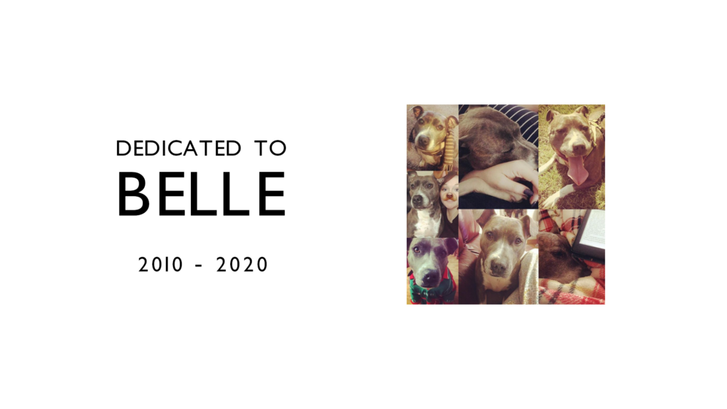 Paddy the Toyota Corolla: Let Me See That Bodywork 2 Belle was a Staffordshire Bull Terrier who we rescued 8 years ago. She was the perfect dog, and she'll be missed.
