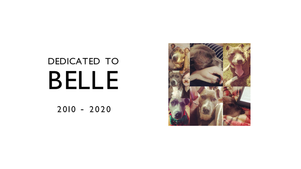 Belle was a Staffordshire Bull Terrier who we rescued 8 years ago. She was the perfect dog, and she'll be missed.